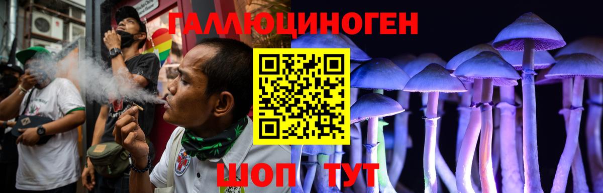 Галлюциногенные грибы Psilocybine cubensis  Псилоцибиновые грибы ЛСД  Вход с VPN  Владимир 